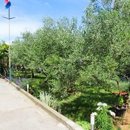 Dragan Apartament *
